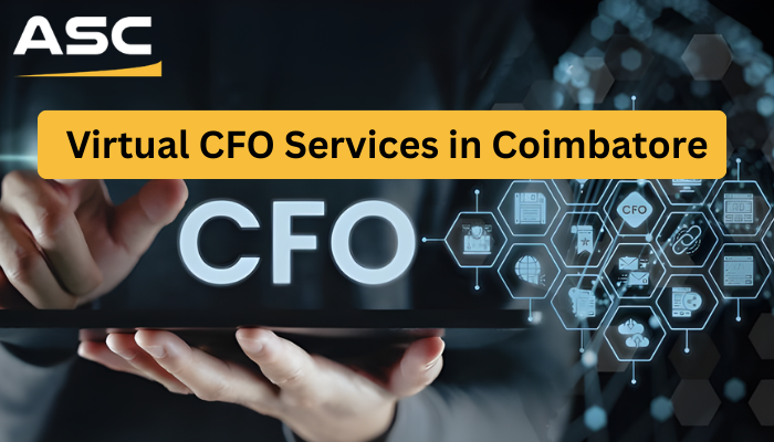 Virtual CFO Services in Coimbatore